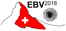 EBV2016_.png