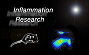 Logo_Inflammation_research_178x110.jpg