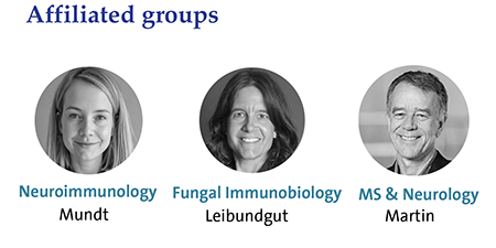 Affiliated groups
